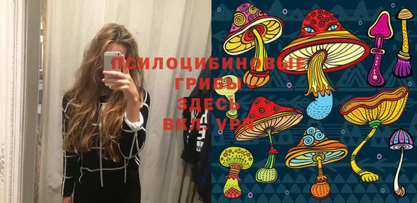 кокаин перу Вяземский